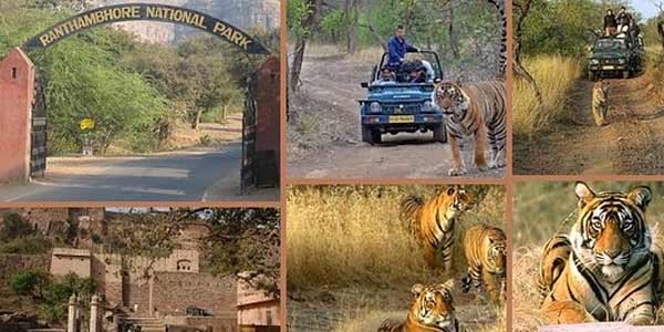 Golden Triangle with Ranthambore